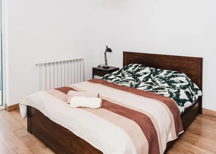 View With Free Parking Kluž